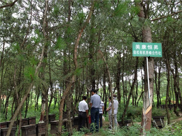 有機(jī)蜂場