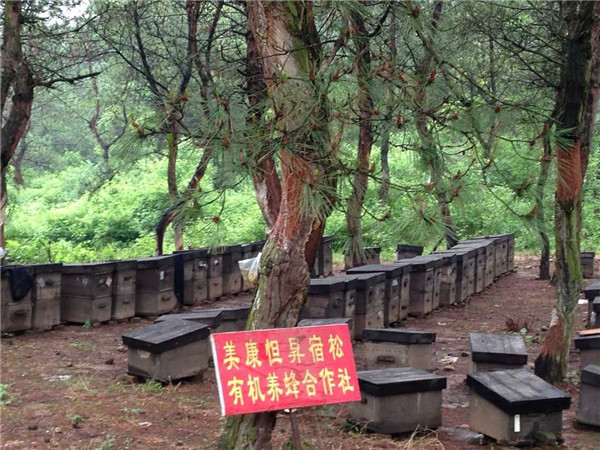有機(jī)蜂場